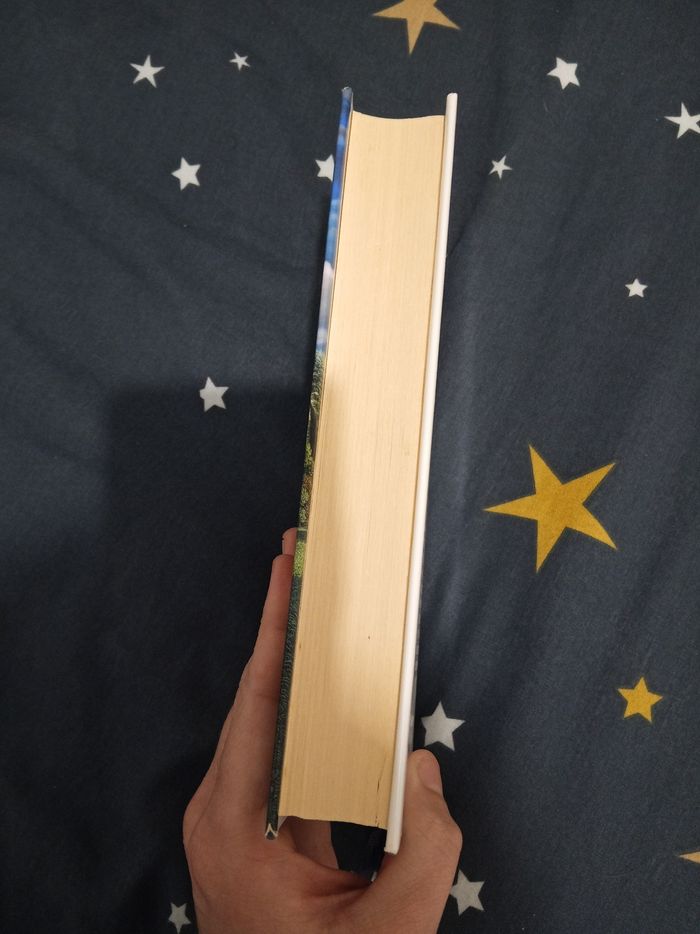 Livre (129) 📚 Natalène - photo numéro 4