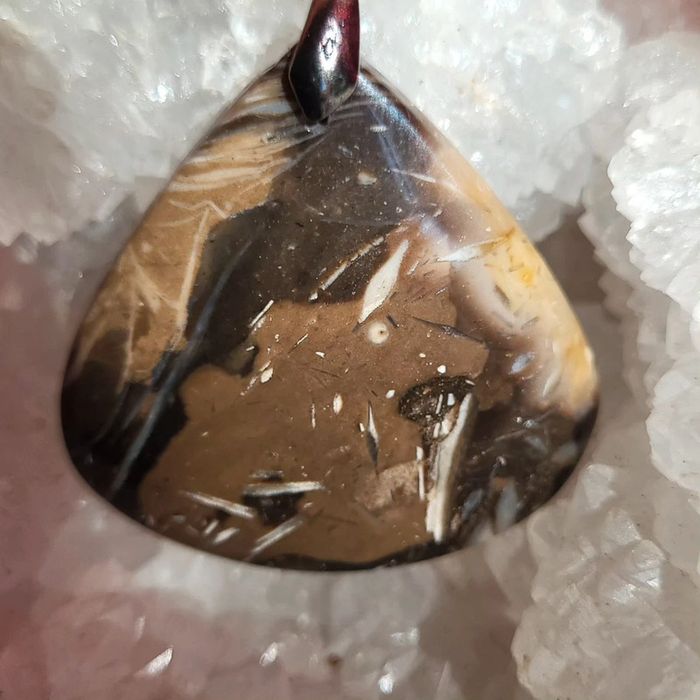 Agate plume - photo numéro 2