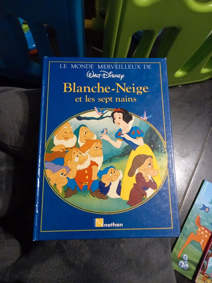 Lot de 5 livres Disney - photo numéro 3