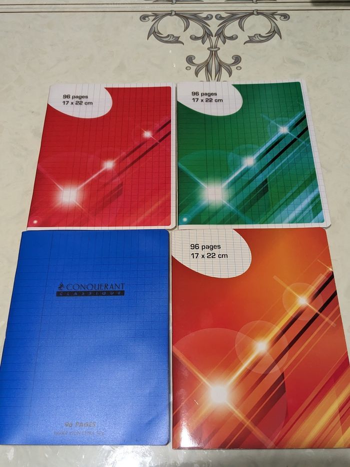 Lot de 4 cahiers 96 pages. Taille 17x22 cm.