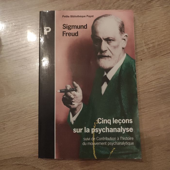 Lot livres psycho /Salomé, Freud - photo numéro 2