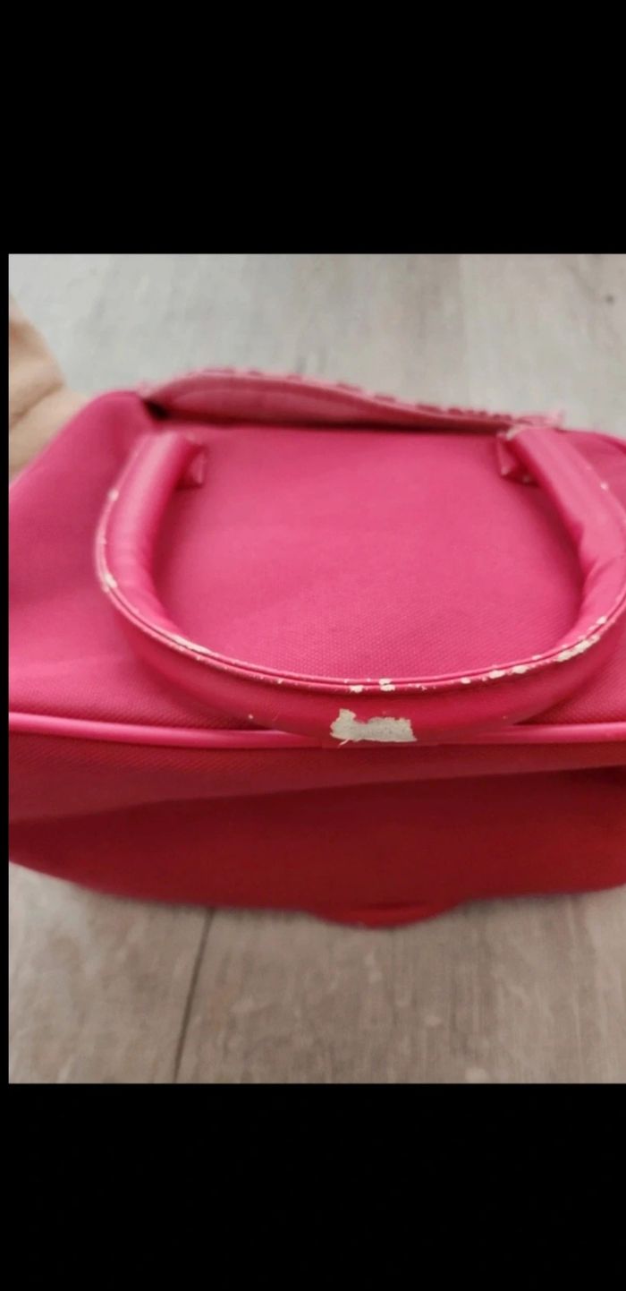 Chien avec sac - photo numéro 5