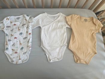 Lot de 3 bodie