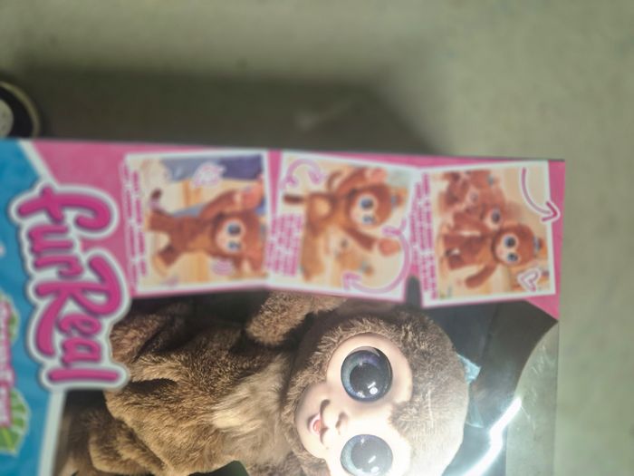 Singe interactif - photo numéro 2