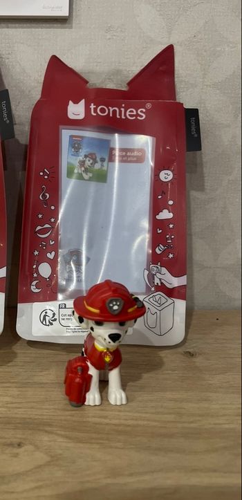 Tonie marcus pat patrouille