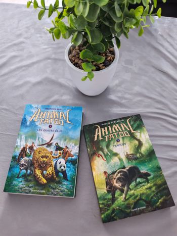 Lot de 2 livres