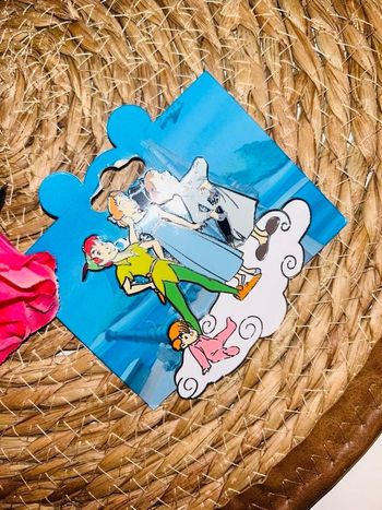 Pin's disney