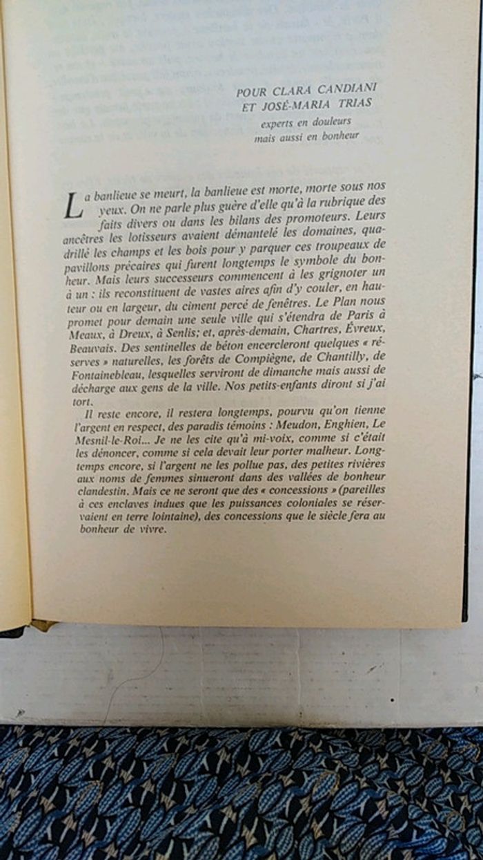 La ville couronné d'épines - photo numéro 3