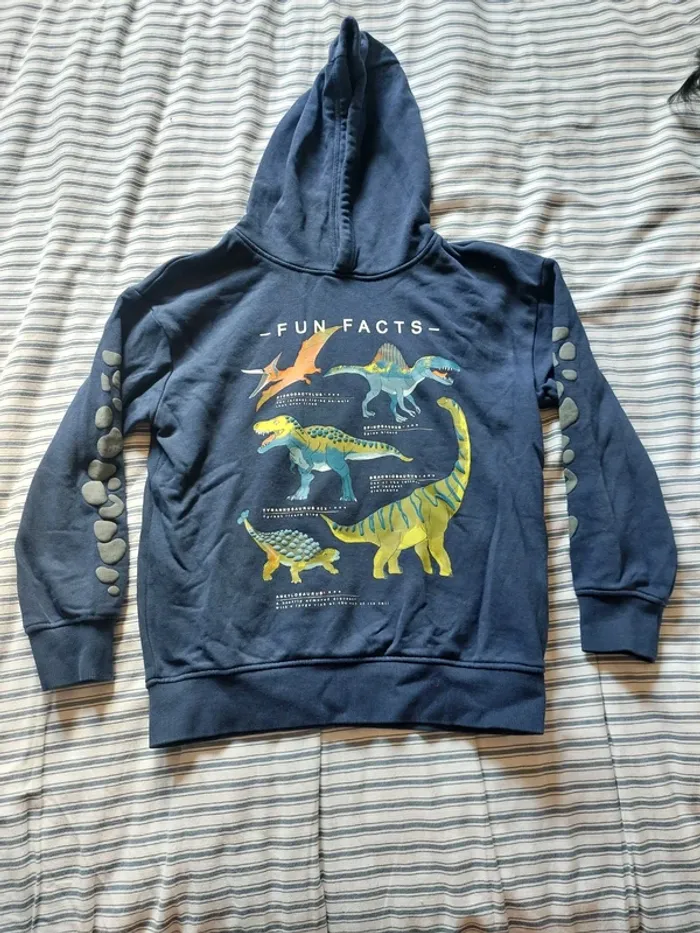 Joli sweat à capuche dinosaures