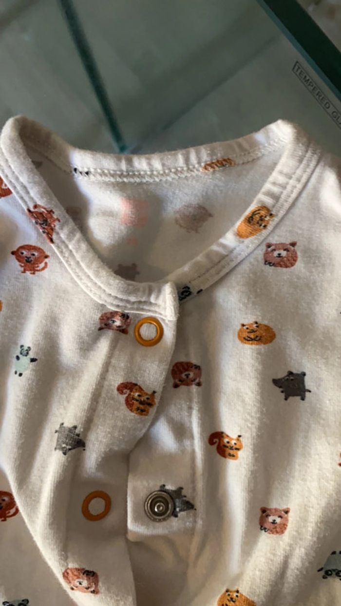 Grenouillère - photo numéro 10