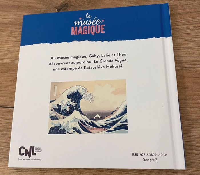 Livre enfant La grande Vague l’histoire des Trois Cousins - photo numéro 2