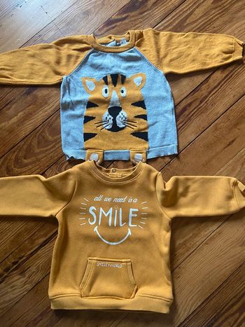 Lot pulls taille 12 mois