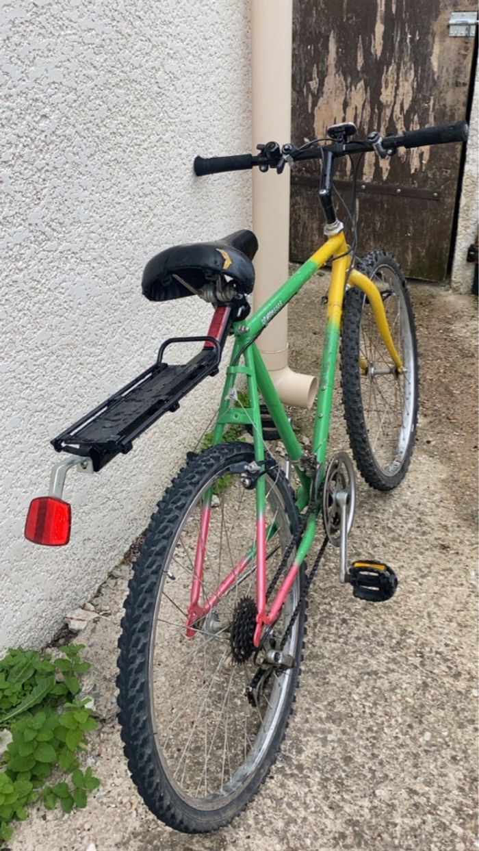 VTT champion de 1990 - photo numéro 10