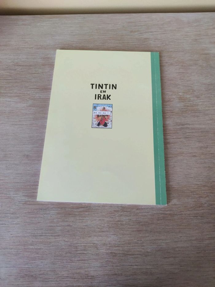 Tintin en Irak - photo numéro 2