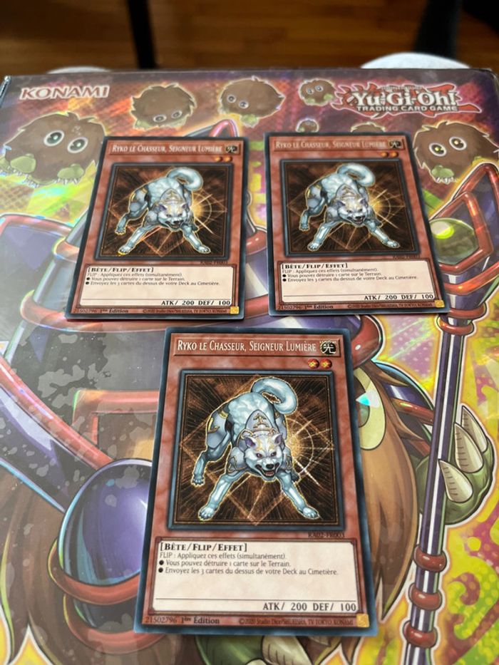 Ryko le chasseur , seigneur lumière