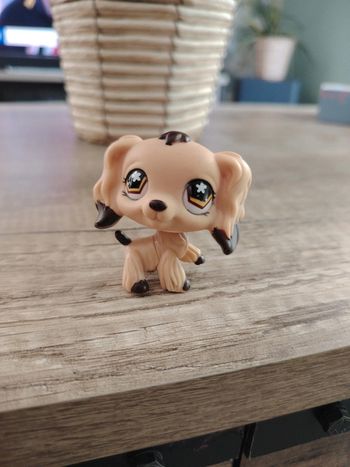 Figurine Petshop Littlest Petshop chien colley #575 tbe