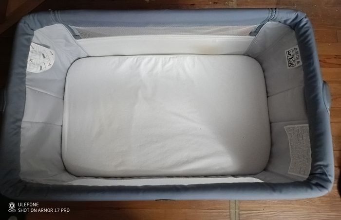 Cododo chicco - photo numéro 4