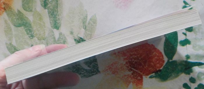 PASSER PAR LE NORD par I. AUTISSIER et E. ORSENNA Ed. Folio - photo numéro 5