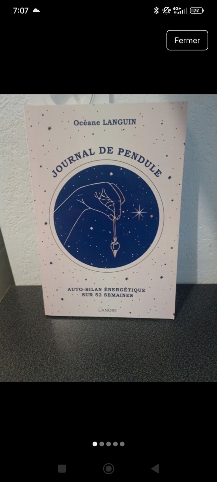 Journal de pendule - auto-bilan énergétique