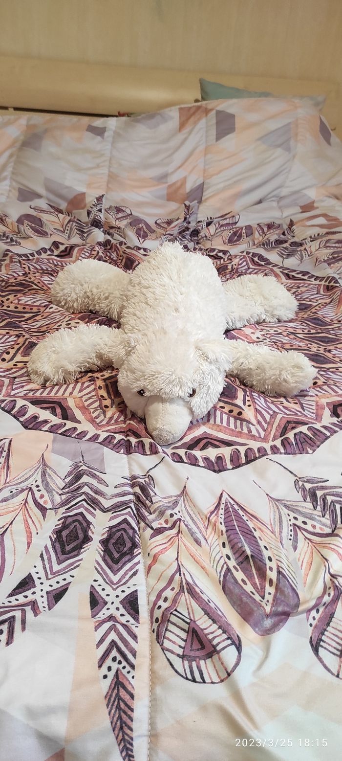 Peluche ours blanc