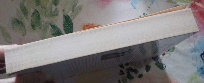 LES FRANCAIS DE LA DEBACLE par M. RAJSFUS Ed. Le Cherche Midi - photo numéro 5