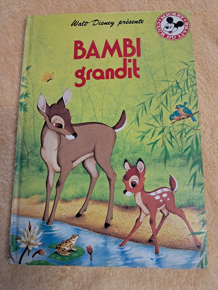 Lot de livres Disney vintage - photo numéro 7