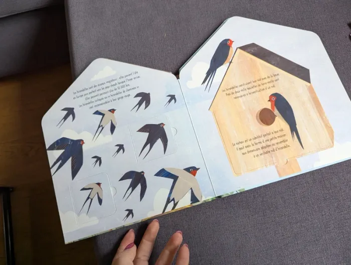 Un toit pour les oiseaux - photo numéro 4