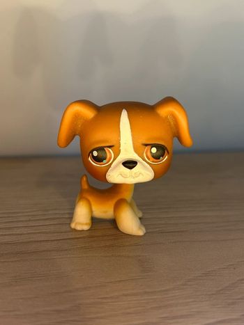 Chien Littlest pet shop