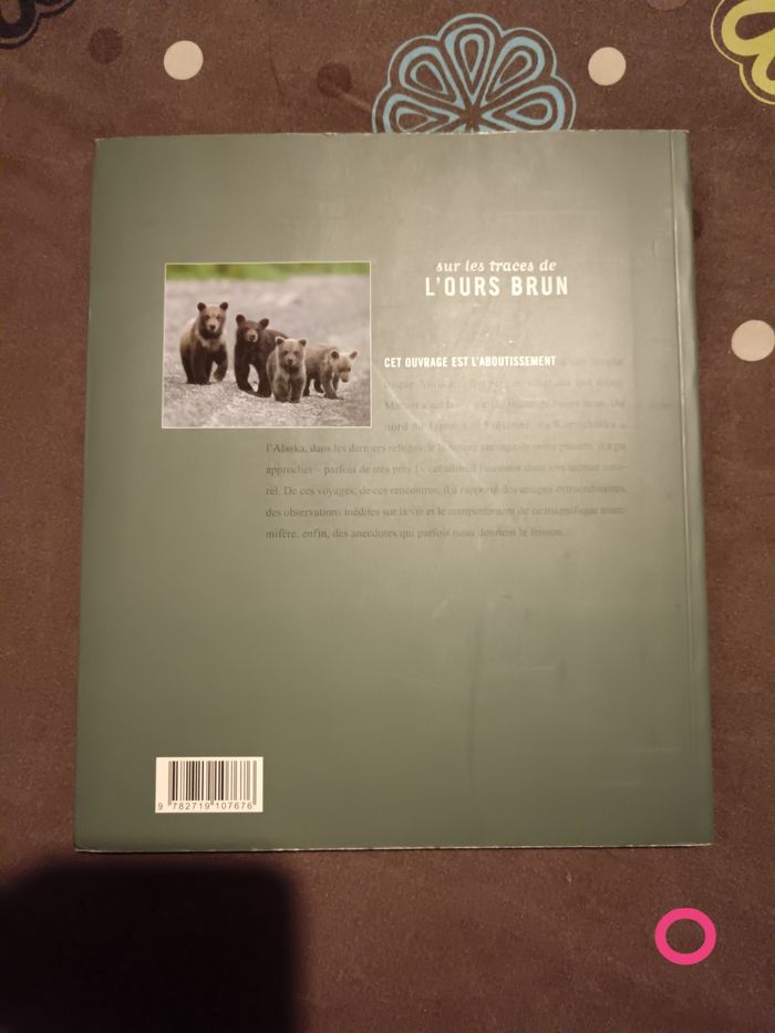 Livre sur l ours brun - photo numéro 2