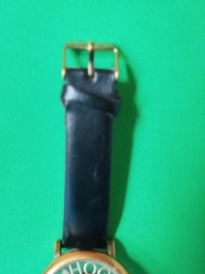 Montre Hogwarts school bronze crest - photo numéro 2