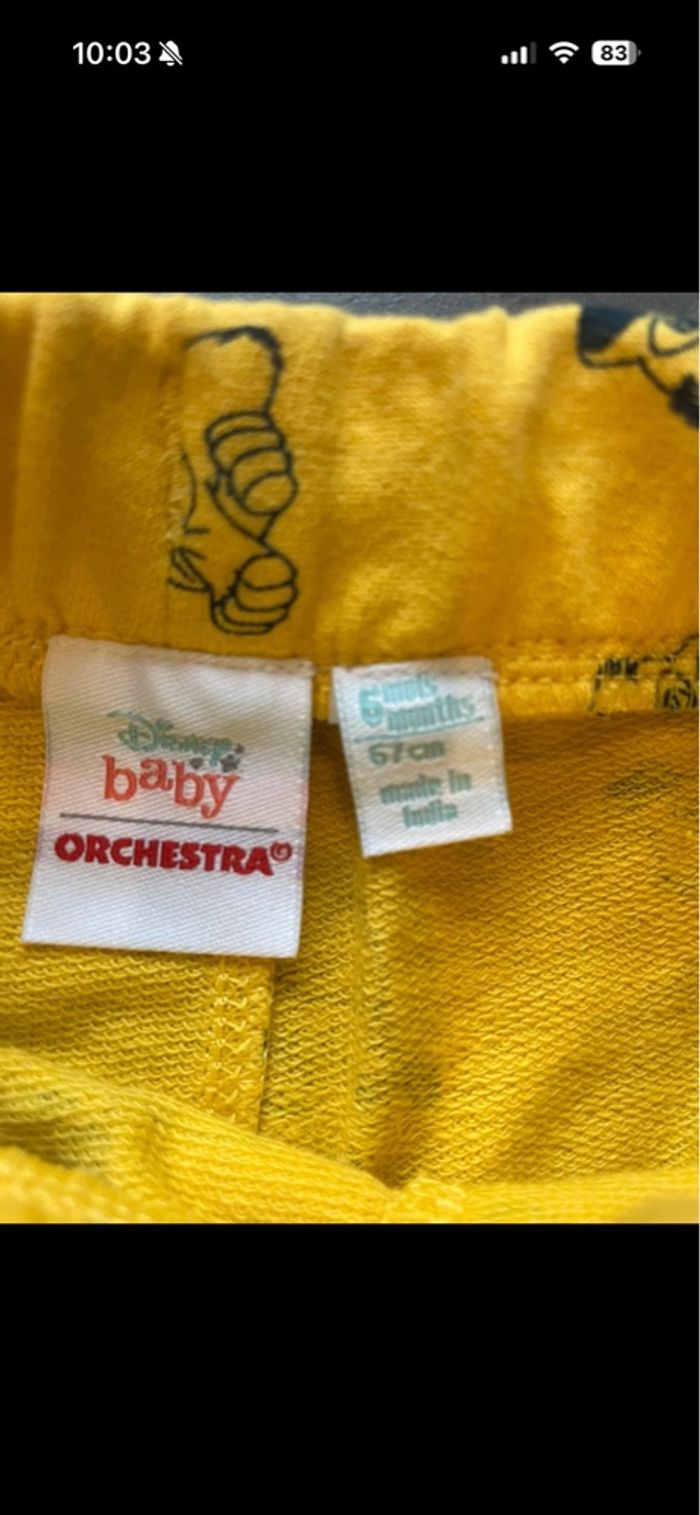 Short 6 mois - photo numéro 2