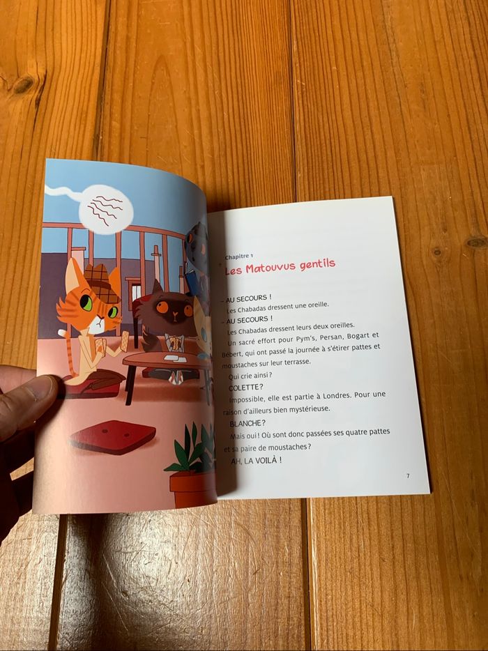 Lot de deux livres - photo numéro 6