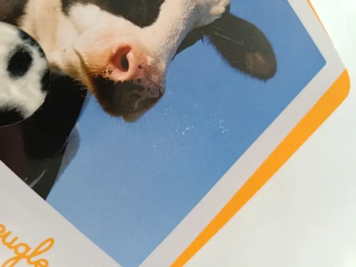 Dans l'étable et la bergerie - photo numéro 4