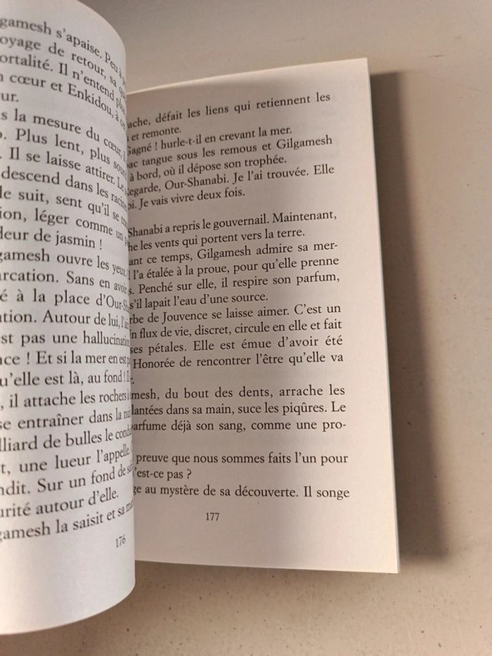 Le premier roi du monde l'épopée de Gilgamesh de Jacques cassabois - photo numéro 3