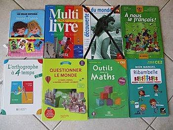Lot de 7 manuels scolaires du CP au CE2