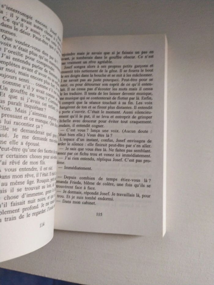 Lundi Mélancolie de Nicci French - photo numéro 7