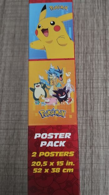 Lot de 2 posters Pokémon neuf
