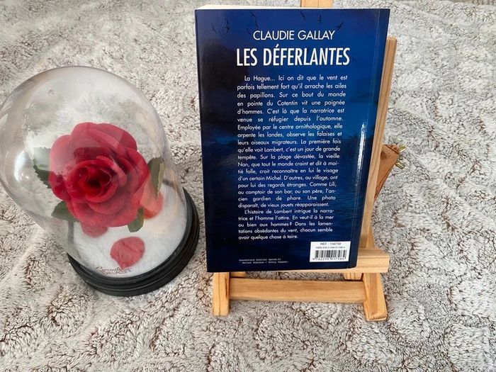 Livre les déferlantes de Claudie Gallay - photo numéro 2