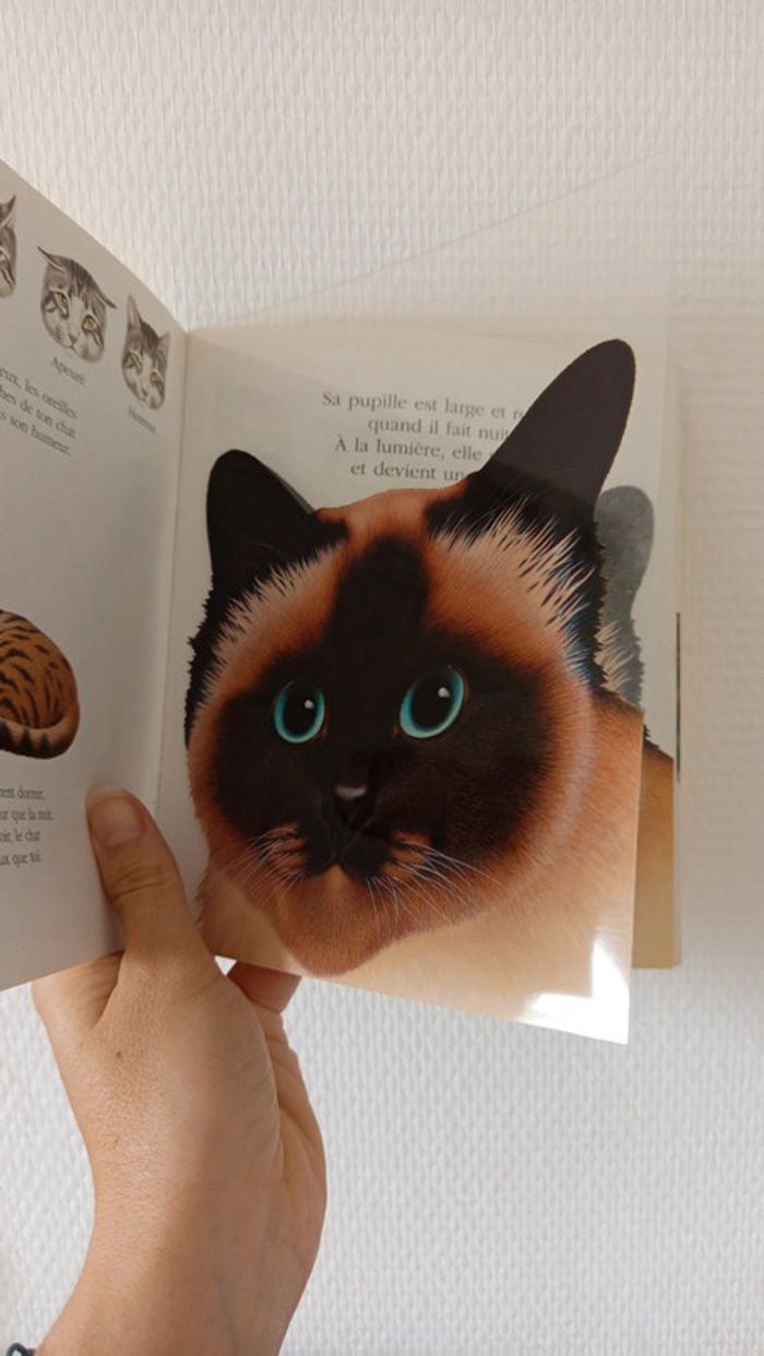 Livre interactif 🔸 les chats - photo numéro 6