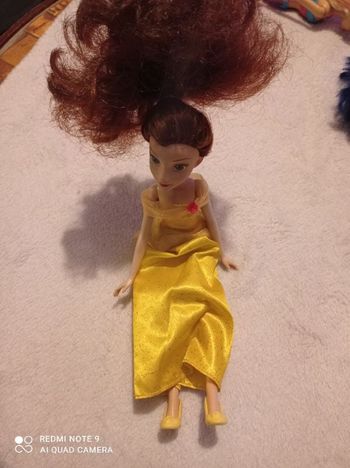 Princesse disney
