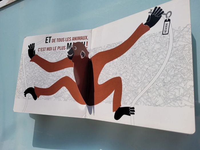 Superbe livre 🐊 Pop-up zoo 🦓 Seuil Jeunesse (68) - photo numéro 4