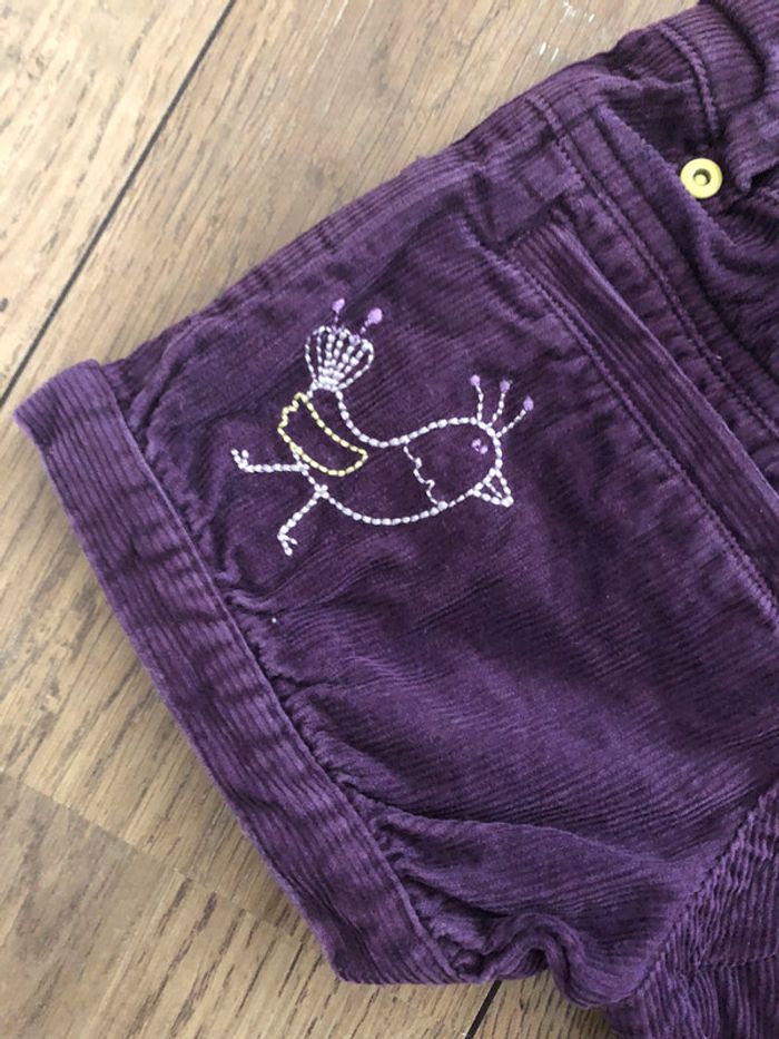 Short hiver - photo numéro 4