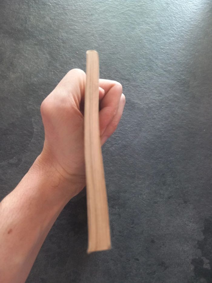 Molière le médecin malgré lui le médecin volant - photo numéro 5