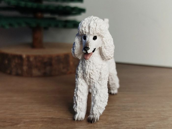 Figurine chien caniche Animal domestique Schleich