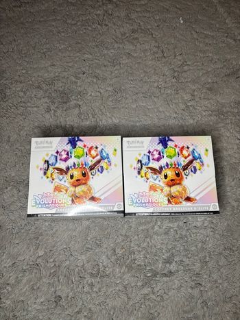 ETB EV8.5 Evolution Prismatique x 2