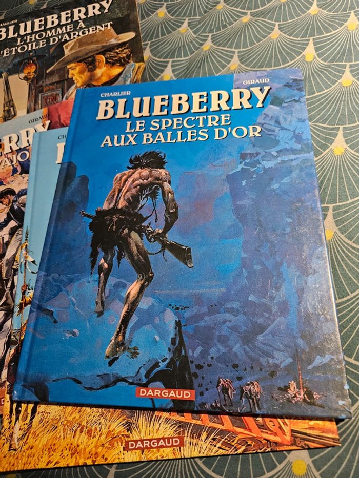 4 BD blueberry - photo numéro 4