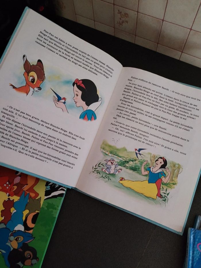 Lot livres disney - photo numéro 12