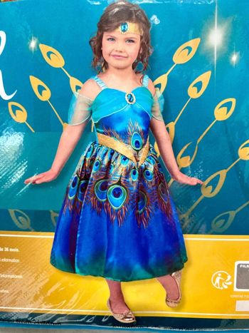 Déguisement Princesse Hannah 8-10 ans NЕUF (prix normal: 38eur)