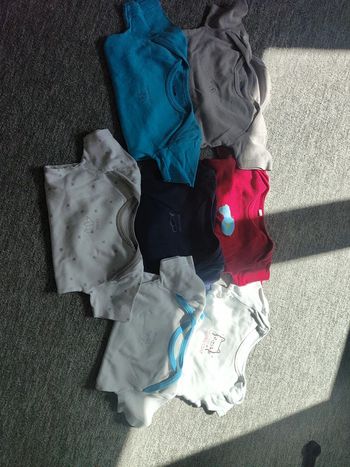 Lot bodies manches courtes