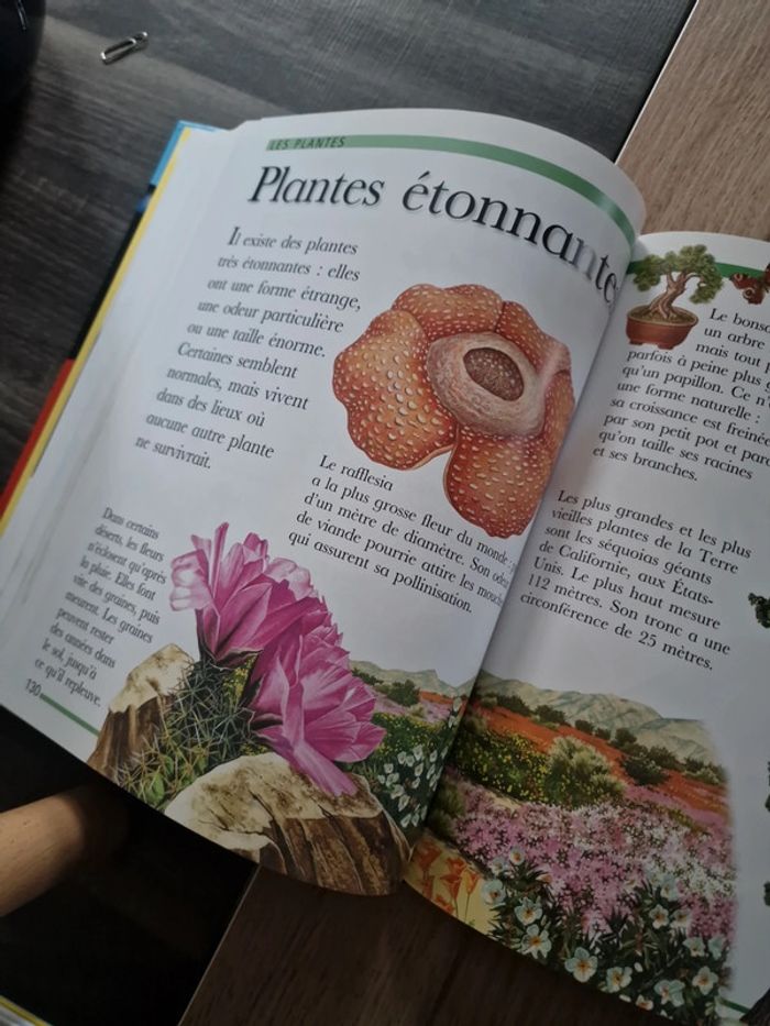 Livre Ma grande encyclopédie - photo numéro 9